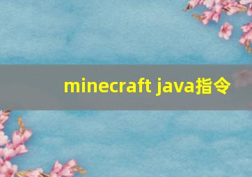 minecraft java指令